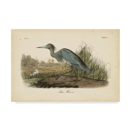 Trademark Fine Art John James Audubon 'Audubons Blue Heron' Canvas Art, 22x32 WAG02444-C2232GG